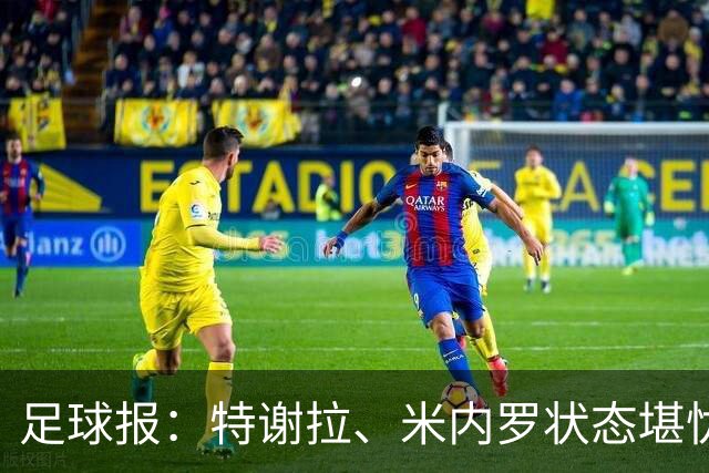 足球报：特谢拉、米内罗状态堪忧，申花需抓紧拿足保级所需积分